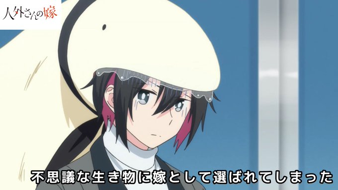 良い?夫婦になる過程をまとめてみた
#いい夫婦の日 
