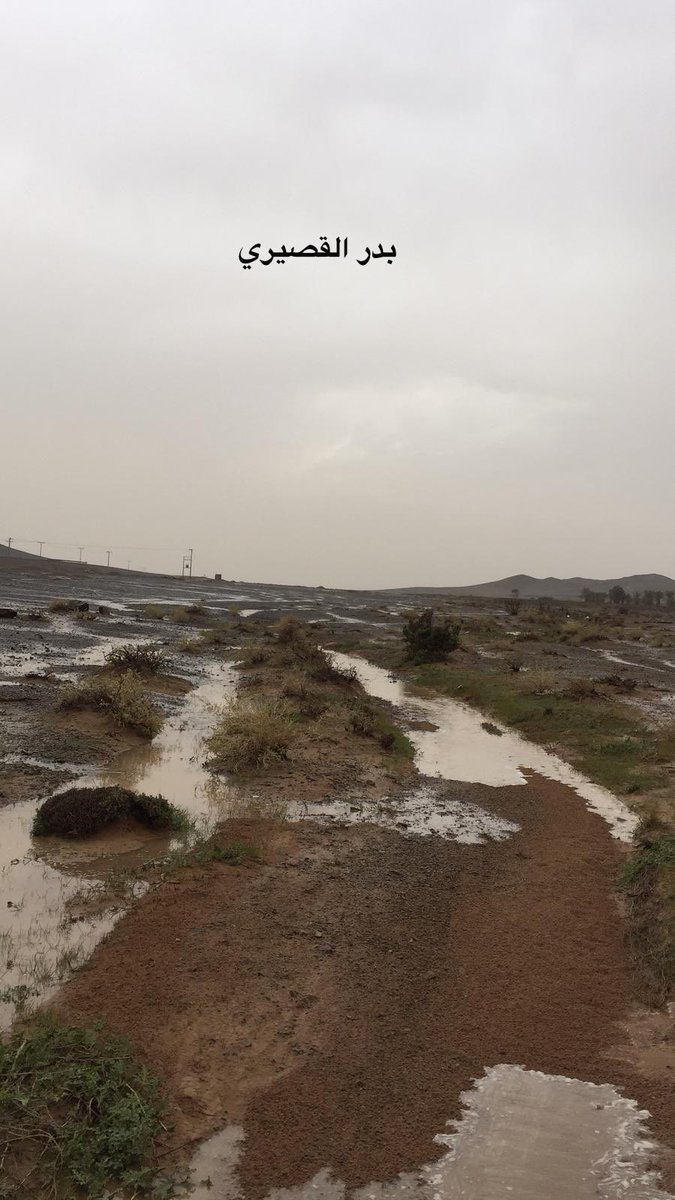 Weather_Qassim1's tweet photo. شرق الهبيريه ٣ كم شمال غرب القصيم من عضو #شبكة_طقس_القصيم بدر القصيري https://t.co/ByLEL1O9Ir