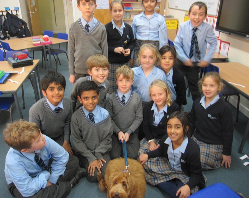Year 4 have been going Canine Crazy in their English lessons as a dog is a central character in a book they are reading. What a great excuse to have a puppy come and visit! #fourleggedfriend #ELDRIC #bringyourdogtoschool
