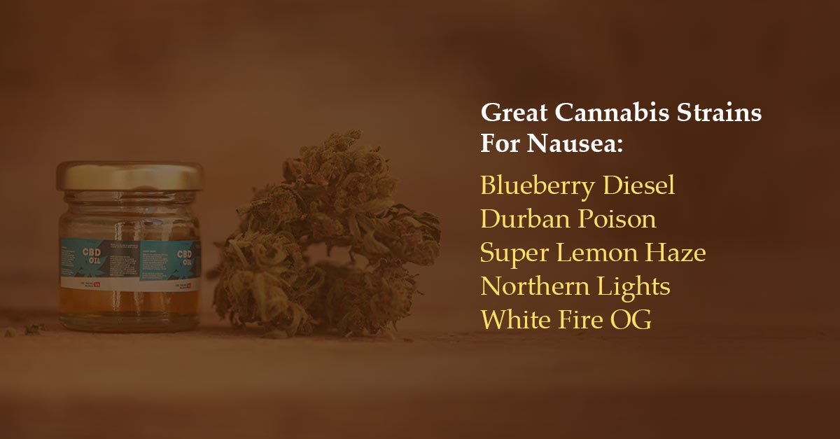 SmokePipeShop's tweet photo. If you’re feeling queasy, try lighting up one of these strains for some relief! #Nausea #CBD #THC #Sativa #Indica #Cannabis https://t.co/OCYGDdIRbR