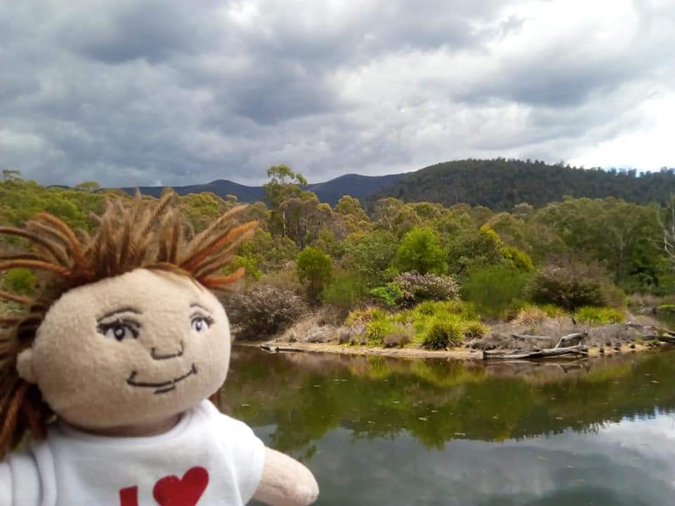 SeahavenDivisn's tweet photo. #Olivia has gone international! She's travelling with #Rainbow Leader Abbie and they're exploring #Australia. Can you spot the koala? 🌿🐻🌿 #girlguiding #travel @GuidingSussexE https://t.co/0MGeklASMy