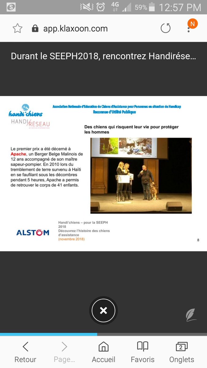 handireseau's tweet photo. 4eme jour #SEEPH2018 #handicap chez @AlstomFrance @Alstom avec @handichienscom @KlaxoonFR @Klaxoon #handichiens #chiensdassitance #sanslimites #touscitoyens https://t.co/xAh8qTF4mM