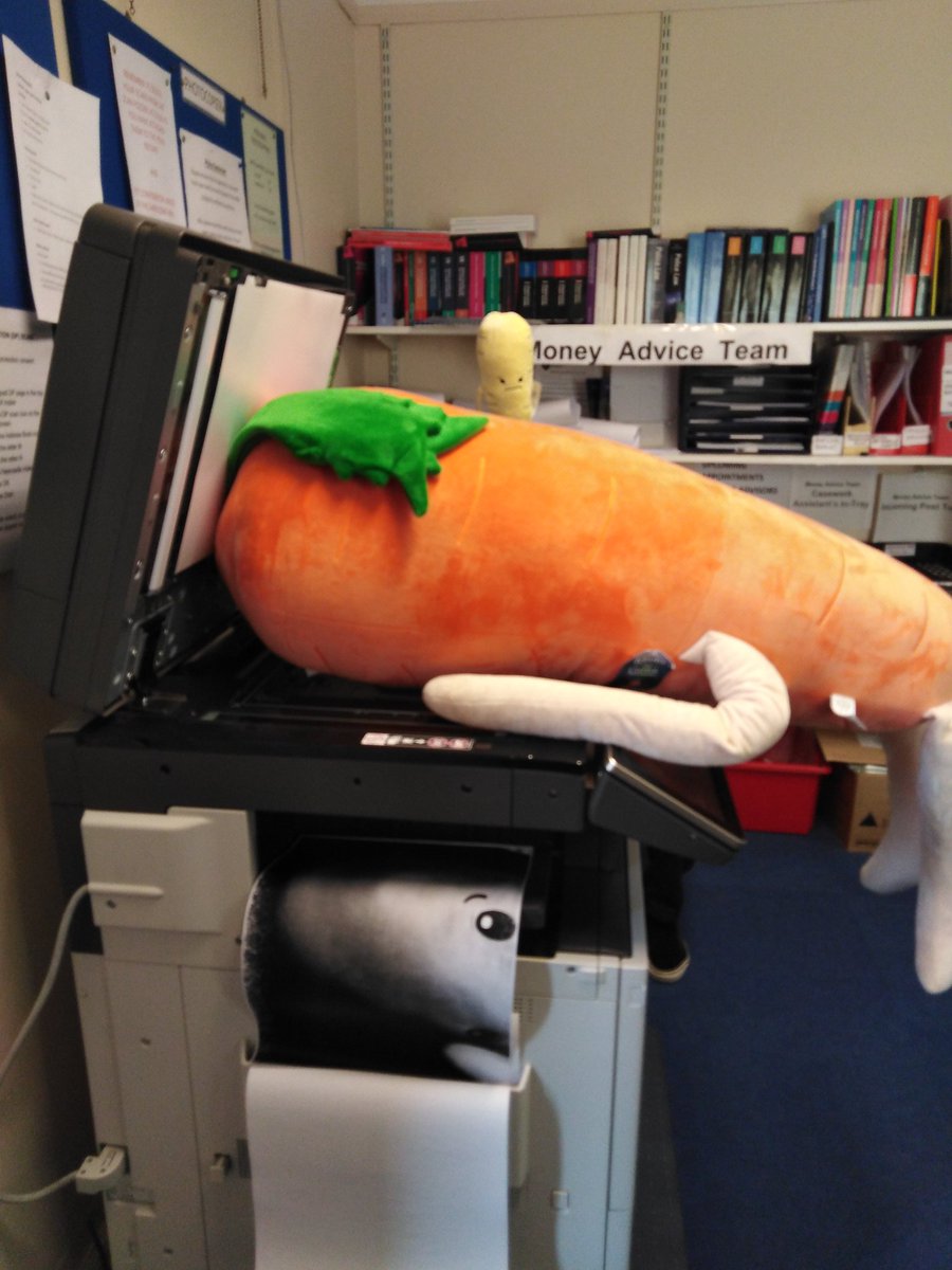 lisa_whitehurst's tweet photo. At least if I get the sack I can depend on @AldiUK for my budget shopping🤣 having too much fun with #KevinTheCarrot and friends check out our @MoneywiseTeam to see more of what they get up too #citizensadvice #potteriesmoneywise #aldi #pascalparsnip https://t.co/t5RfLQPM6V