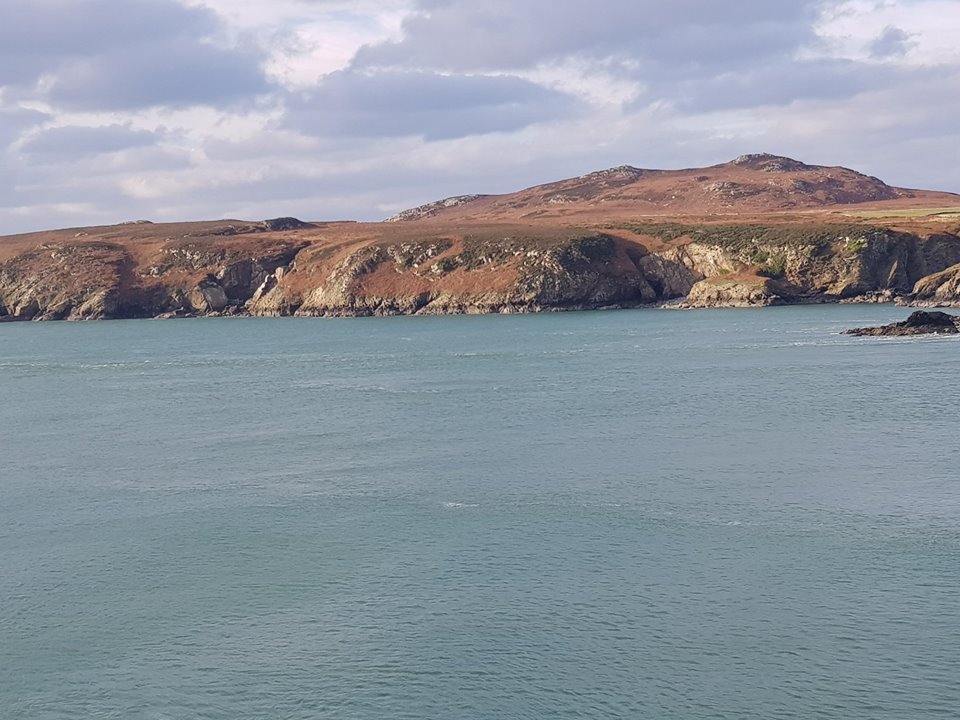 SelwynE13 (@selwyne13) on Twitter photo East, west, #Treginnis is BEST!
This amazing farm is situated on a headland near St David’s -- and is the most westerly farm in Wales - and our favourite farm in the world!
#wales #stdavids #schooloutings #year6 <a href="/farmersforaweek/">Farms for City Children</a> East, west, #Treginnis is BEST!
This amazing farm is situated on a headland near St David’s -- and is the most westerly farm in Wales - and our favourite farm in the world!
#wales #stdavids #schooloutings #year6 <a href="/farmersforaweek/">Farms for City Children</a>