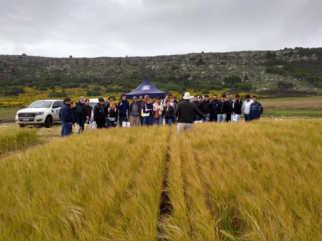 ReussiNahuel's tweet photo. TRANSFERENCIA EN NUTRICIÓN DE CEBADA. Tecnología de procesos clave para una agricultura intensificada sustentable. Trabajo en equipo..UPA 2018. Gracias @ProfertilNutri @YaraArgentina @aapresid @GRSueloCultivo @FertilabLab https://t.co/gLS65U9eOB
