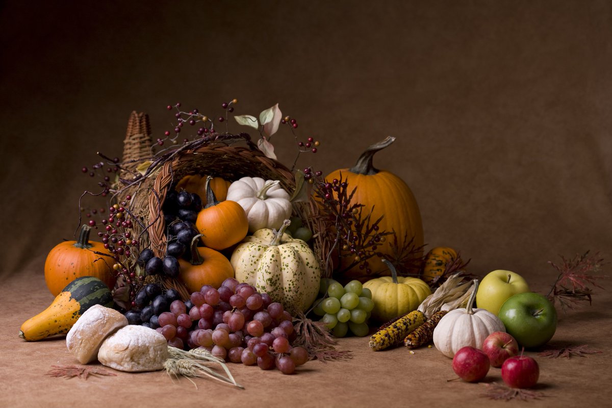 Happy Thanksgiving from #eosnomad! 🦃
