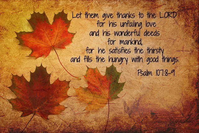 sovgrace's tweet image. 