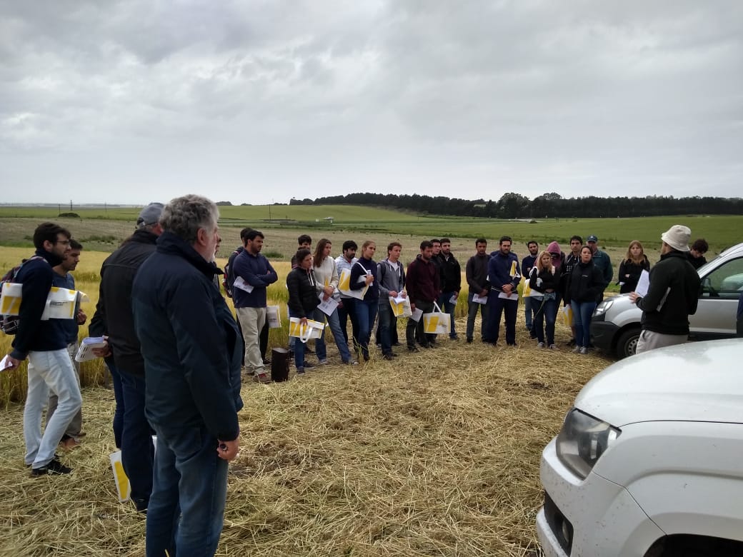 ReussiNahuel's tweet photo. TRANSFERENCIA EN NUTRICIÓN DE CEBADA. Tecnología de procesos clave para una agricultura intensificada sustentable. Trabajo en equipo..UPA 2018. Gracias @ProfertilNutri @YaraArgentina @aapresid @GRSueloCultivo @FertilabLab https://t.co/gLS65U9eOB