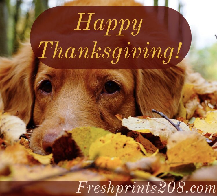 FreshPrints208's tweet photo. Happy Thanksgiving from our Fresh Prints Team! https://t.co/QqD5E5HqHT