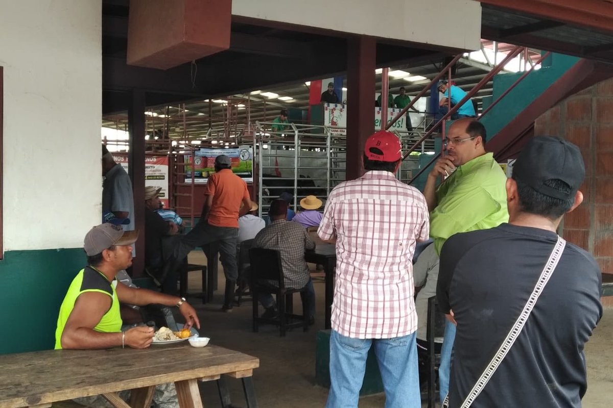 JDAriasV's tweet photo. En la Subasta Ganadera de Azuero . La escasez  de mano de obra, mercados deprimidos y el control en pocas manos de la venta de insumos son algunos de los temas que debemos comprometernos con los productores. Nada mejor que una conversación franca y directa con los  que saben. https://t.co/W9fKIz5g8p