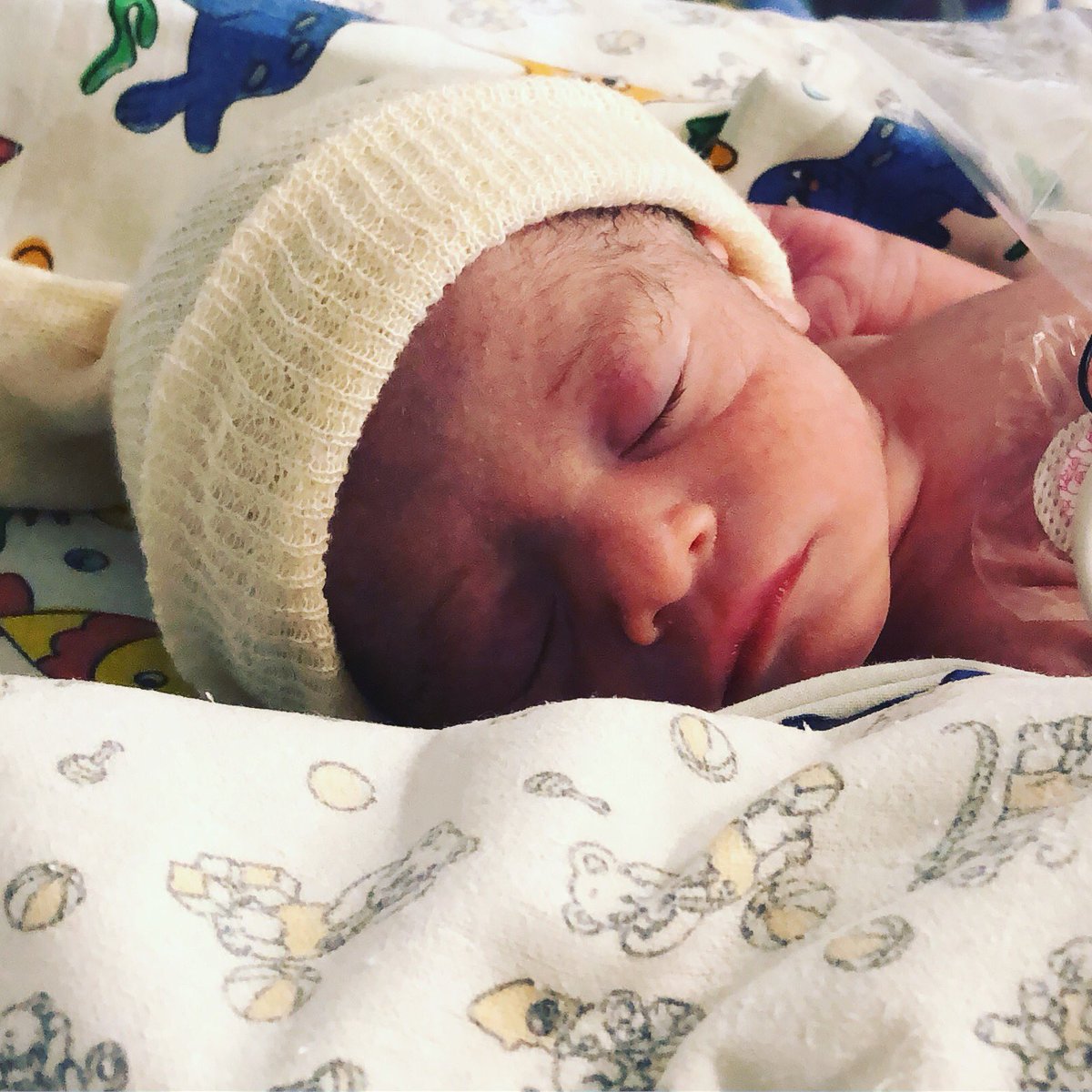 Rodrigo Muñoz F. 🌳 tweet media