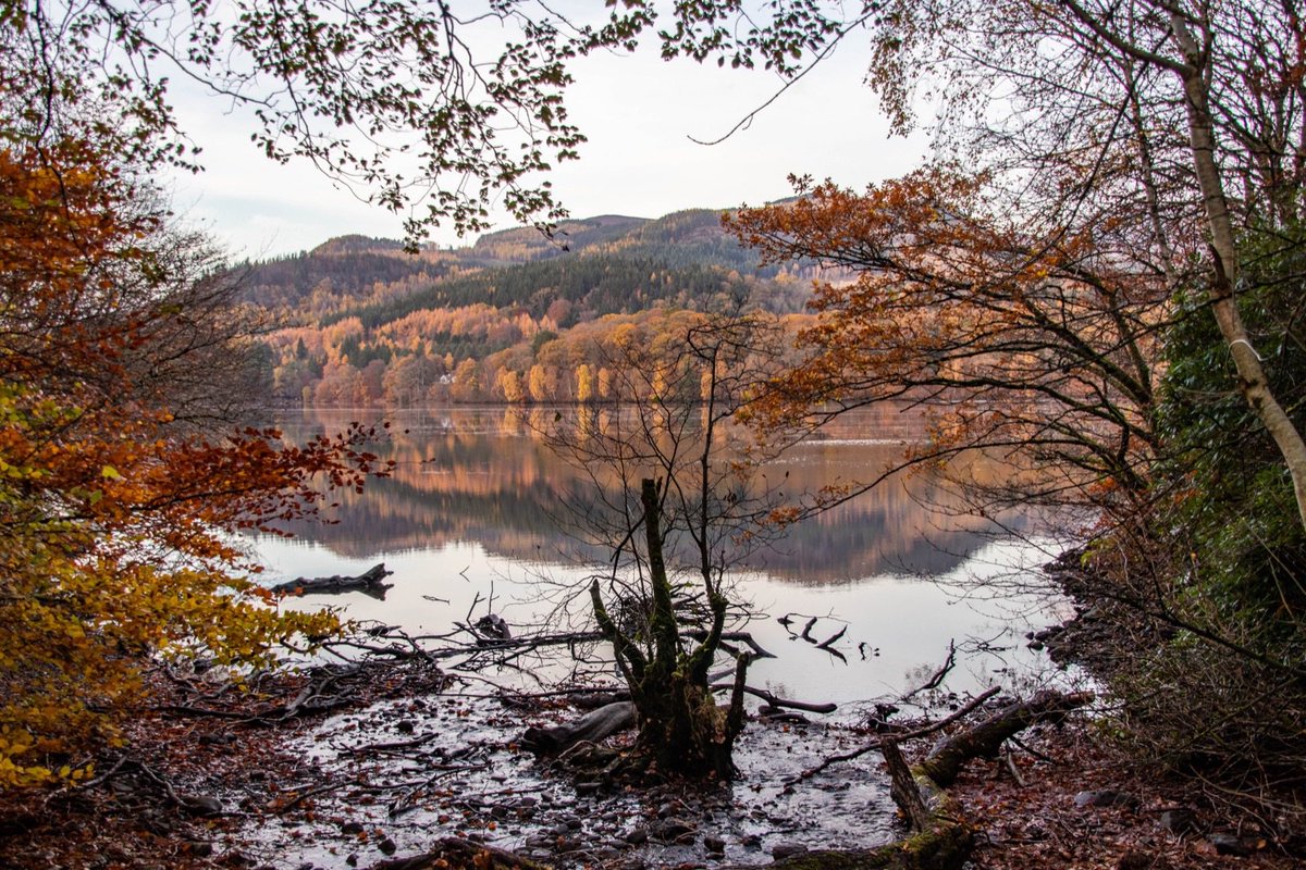 #Reflections on #LochFaskally near #Pitlochry a few weeks ago. #Perthshire in #autumn is a pretty #magical place to be.

#Осень #automne #Herbst #秋季 #Perthshire #TreesCollection #woods #woodland #forest #nature #NatureLovers #ScotNature #Scotland #Шотландия #ScotlandIsNow