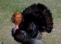 #HappyThanksgiving2018 To one and all. Eat all the turkey you can!