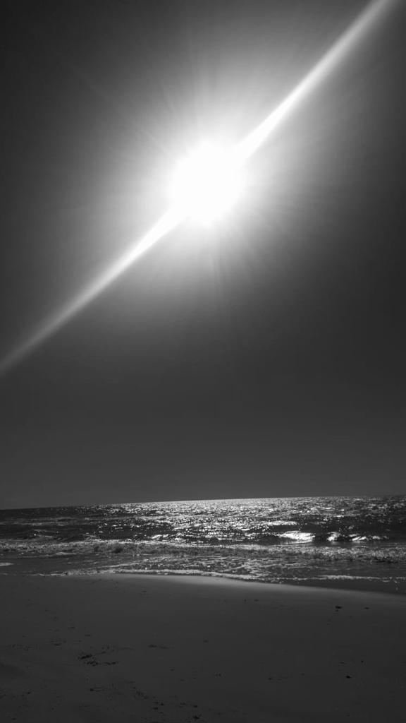 SusanneRidder's tweet photo. #blackandwhitechallenge 
day 5⃣/7⃣
🗓️ 7 days
📸 7 pictures
⛔️ no people
⛔️ no text

@DoreenGnan @katrinstadelm, your turn! 😉 https://t.co/EWWBrpSMlA