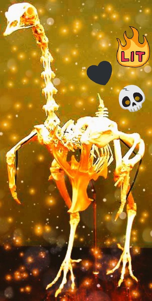 SkeletonsStudio's tweet photo. give em the ol razzle dazzle this Turkey Day. #razzledazzle #bestbones #studioskeletons https://t.co/5b9EJCYfLc
