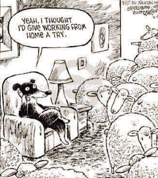 Whispaddy's tweet image. 