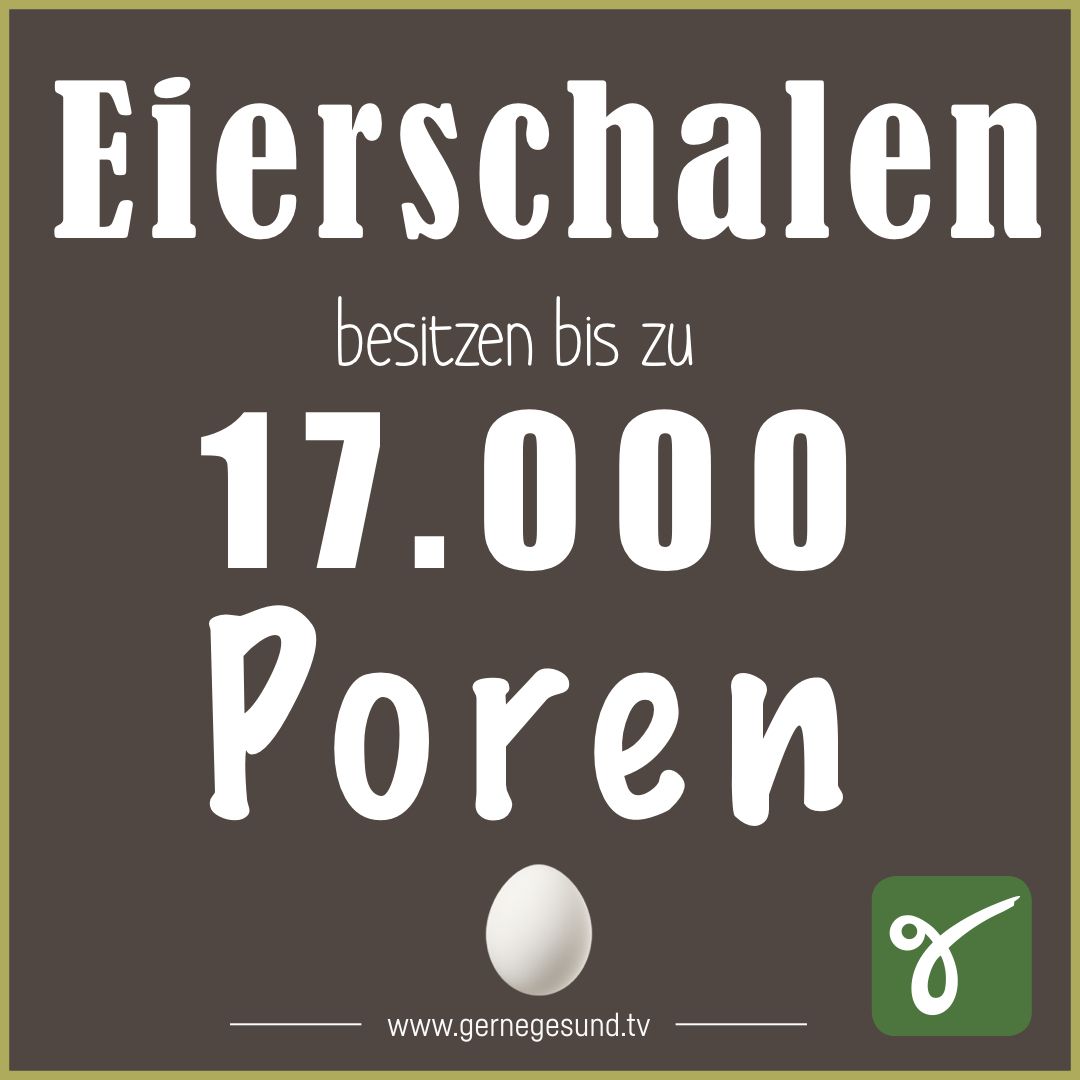 Gesundheitswissen ToGo☝🏻
Ist ein Ei komplett dicht?
#gernegesund