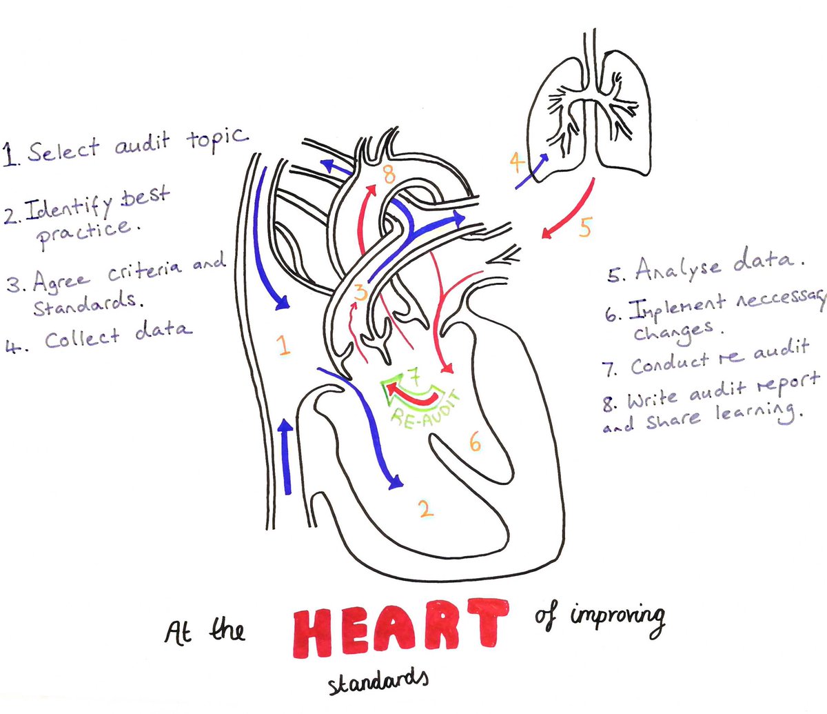 #clinicalaudit drawing 3: getting to the heart of the matter. Audit circulates and breathes life into quality improvement. #heartofQI #CAAW18