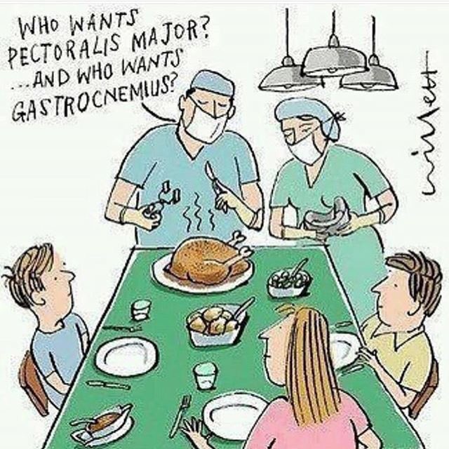 crysyann's tweet photo. Happy Thanksgiving! https://t.co/VUouGsxLhG