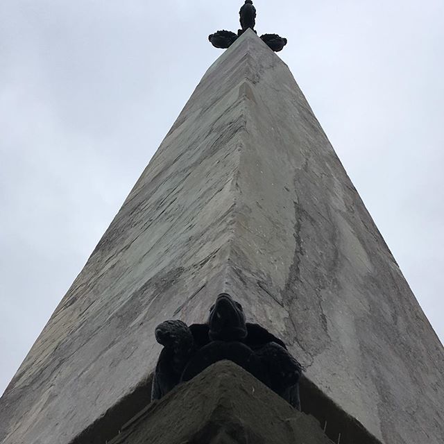 fitcreative's tweet image. the turtle is the symbol for the medici family founder - festina lente - more haste less speed, which we like a lot #florence #turtle #morespeed ift.tt/2AdHGvt