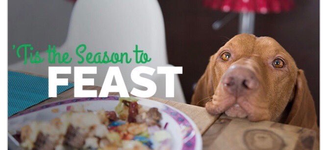 parent_trainer's tweet image. Happy Thanksgiving from Jonesie, Tanner, &amp;amp; me!!!