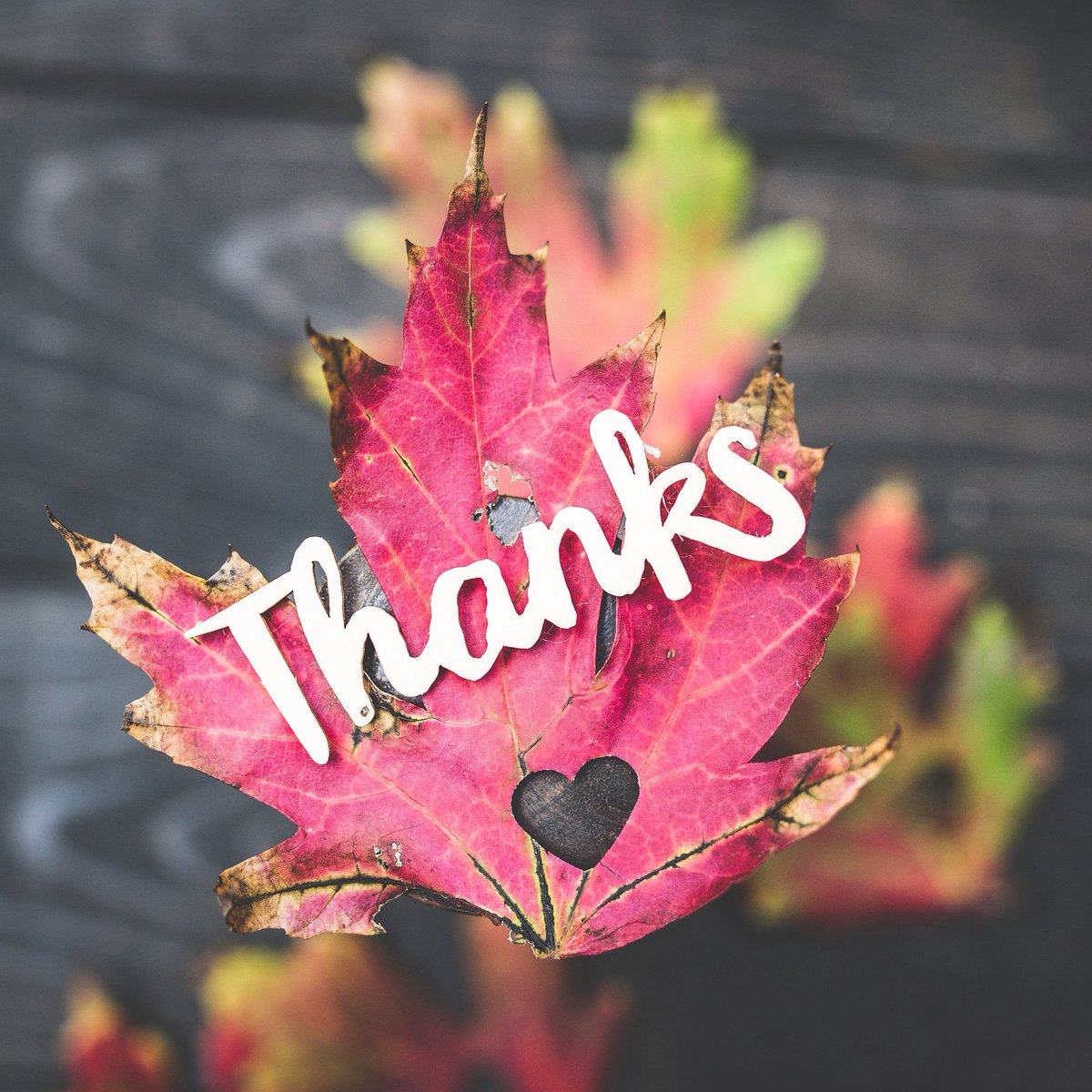 Happy Thanksgiving, friends! We are thankful that you call us your racing family!

#ccs #asra #championshipcup #ccsracing #asraracing #braap #thanks #thankful #ThankfulThursday #thanksgiving