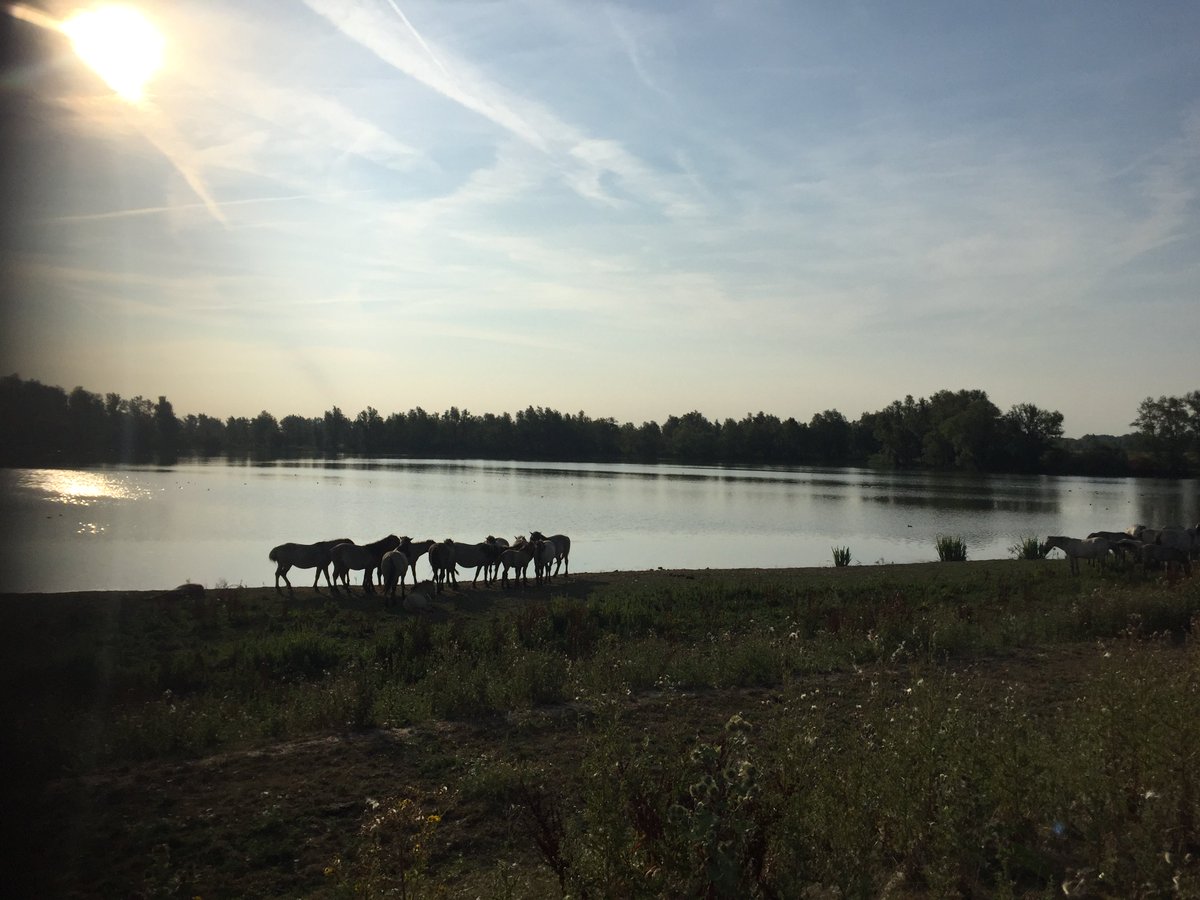 #Tip voor het #weekend: trek een warme #jas aan en maak een mooie #herfstwandeling door het #Munnikenland bij Slot Loevestein. We zien je mooie foto's graag verschijnen met #Loevesteinfirst. Na de #wandeling lekker opwarmen met warme #chochomel met #slagroom in de #Taveerne.