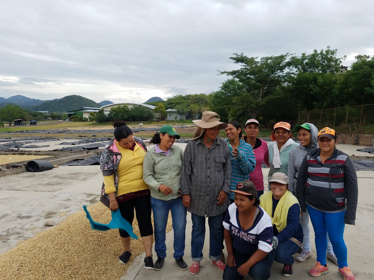 prodecoop's tweet photo. El café siempre pone una sonrisa en cada persona, en cada familia! Desde las instalaciones del beneficio seco en #Palacaguina estas colaboradoras mandan sus saludos al mundo, al #ComercioJusto a vos que pensas en la cadena de valor del café. Buenos dias! #Prodecoop25 #WeEffect https://t.co/Vz9sbcEoEN