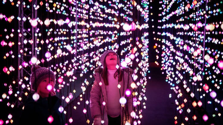 TimeOutLondon's tweet photo. Take a look at Christmas at Kew’s dreamy lights trail. 😮✨
https://t.co/ftArqkSAWi https://t.co/HQJAR4lXmj