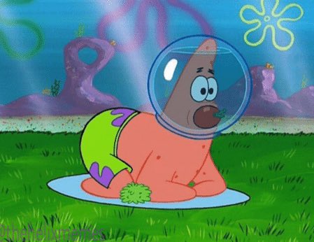 happy thanksgiving, bikini bottom!