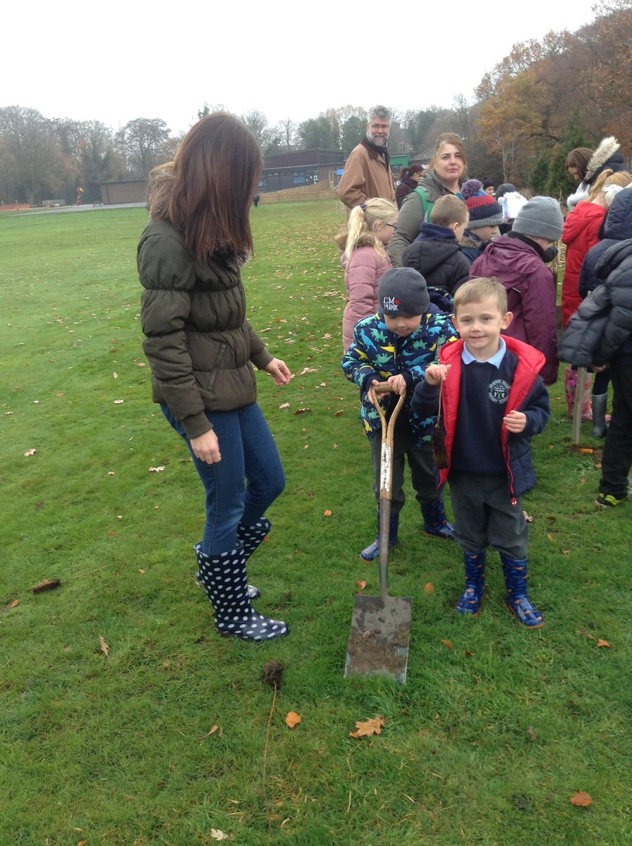 GrangeValley1's tweet photo. Children and parents making memories tree planting today. @QueensCanopy #commonwealthcanopy https://t.co/LO38khFUY7
