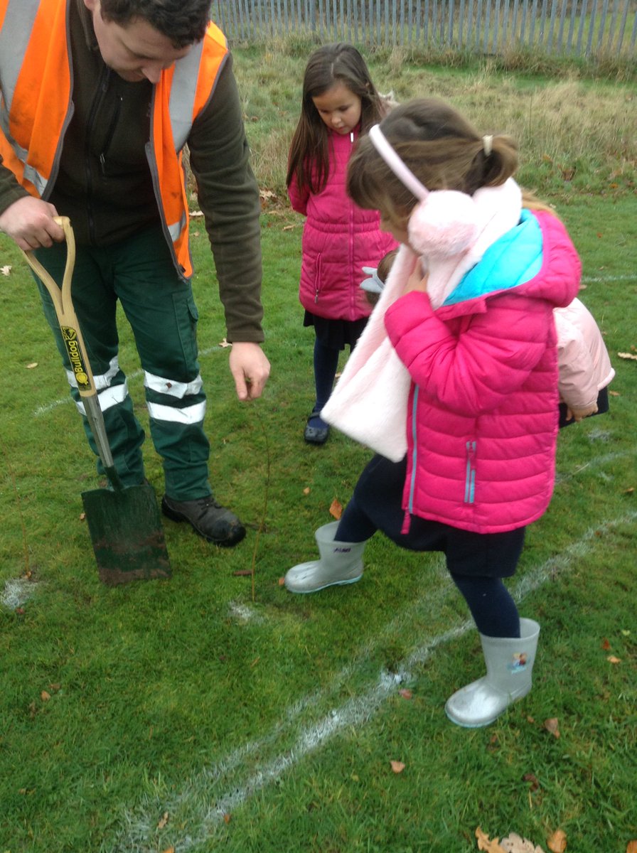 GrangeValley1's tweet photo. Children and parents making memories tree planting today. @QueensCanopy #commonwealthcanopy https://t.co/LO38khFUY7