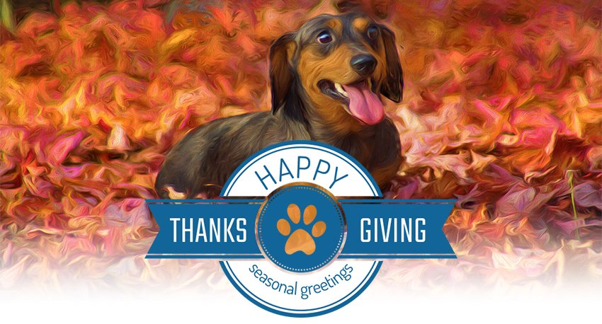 Have a very happy Thanksgiving!