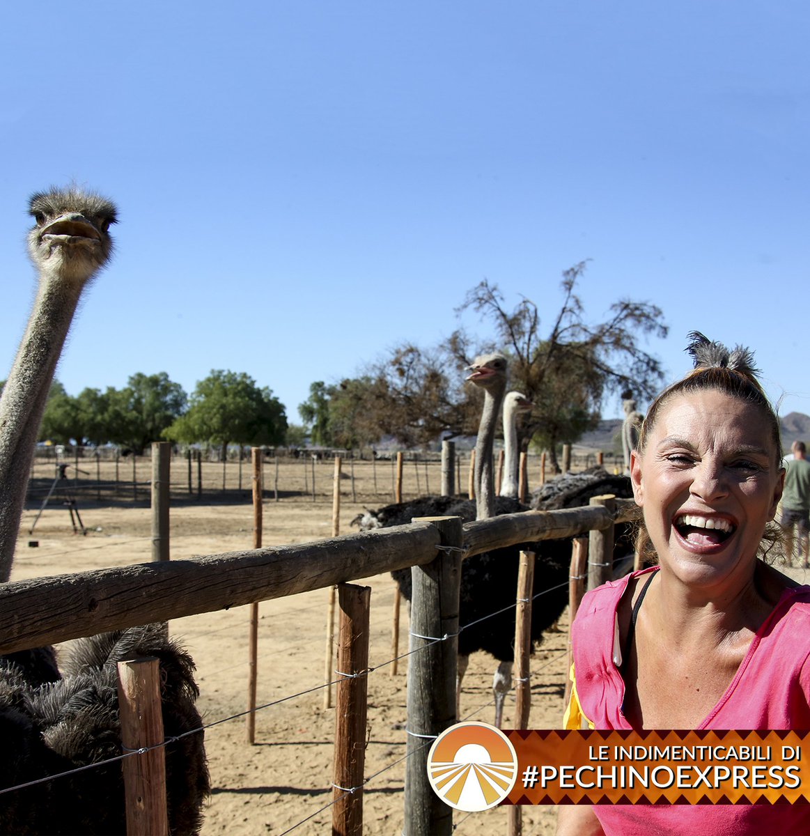 A #pechinoexpress la felicità è contagiosa ✨ #Signoredellatv <a href="/patrizia_ross/">Patrizia Rossetti</a>