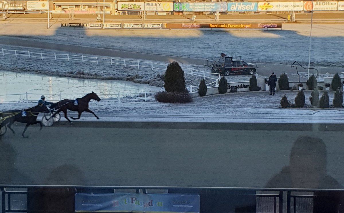 TeamPihlstrom's tweet photo. Nisse släpper ingen över bron.. Seger idag med Mellby don Juan samt att flirten gör det bra som tvåa. https://t.co/E9KWtEJho9