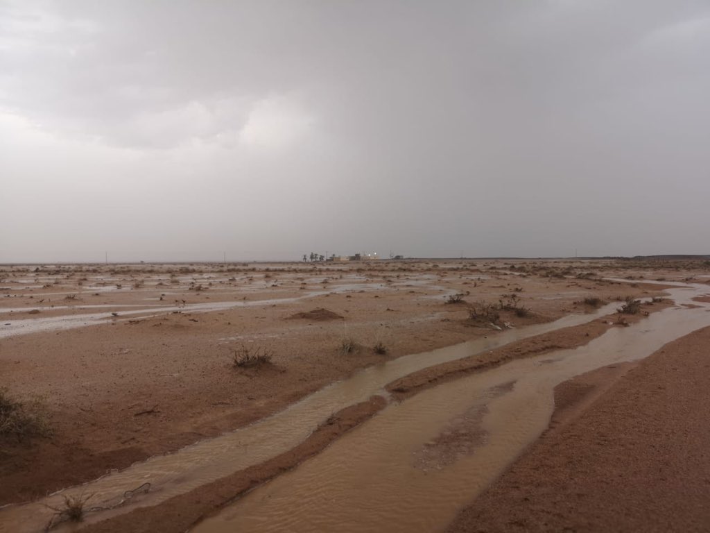 Weather_Qassim1's tweet photo. شعيب الحمر شمال صبيح من عضو 

#شبكة_طقس_القصيم  
عبدالحكيم الغرابي https://t.co/kpsrBQRkVN