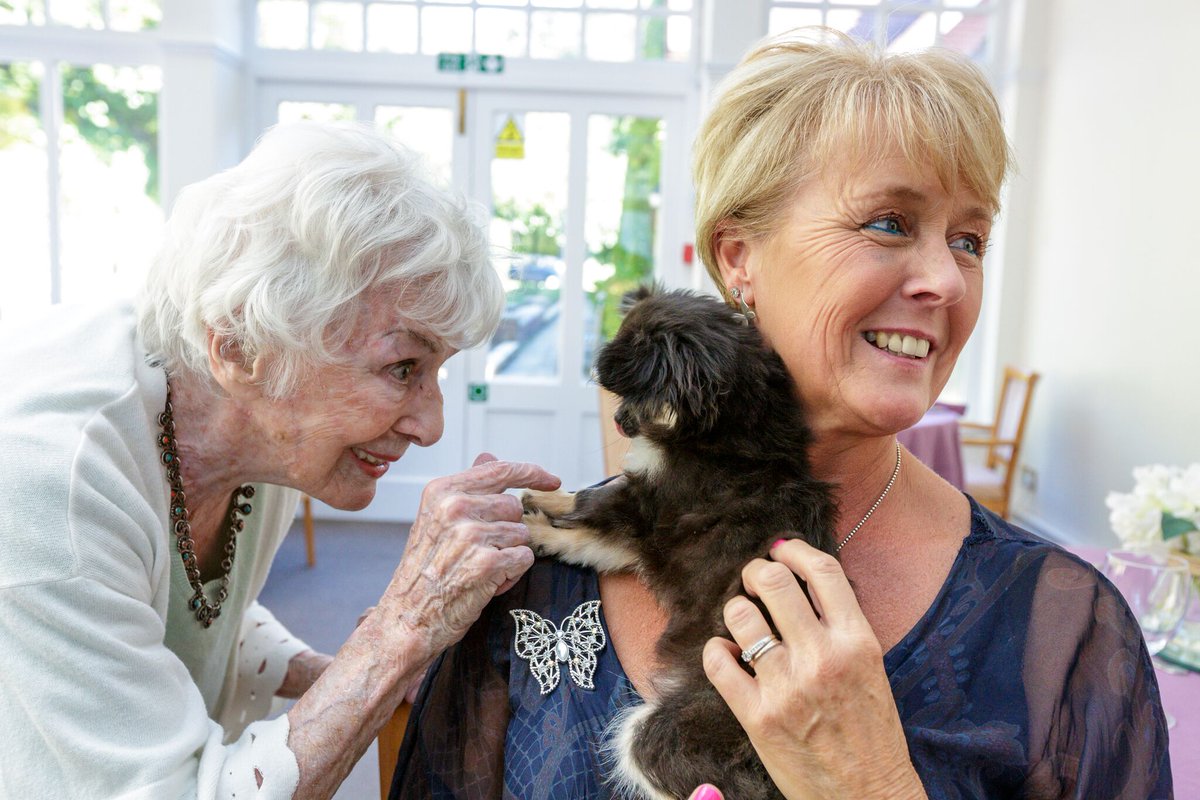 Butterfly Care Homes are bringing humanity to those living with dementia goo.gl/2dwTtC <a href="/DCMatters/">SE_DC_Matters</a> <a href="/SheardDavid/">David Sheard</a> #ButterflyHome