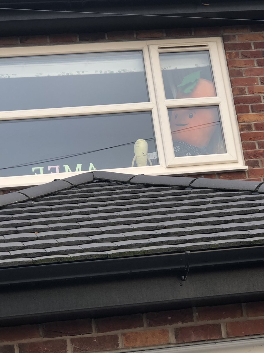 sarahb9733's tweet photo. We got our Kevin @AldiUK https://t.co/y8fZUMR74d