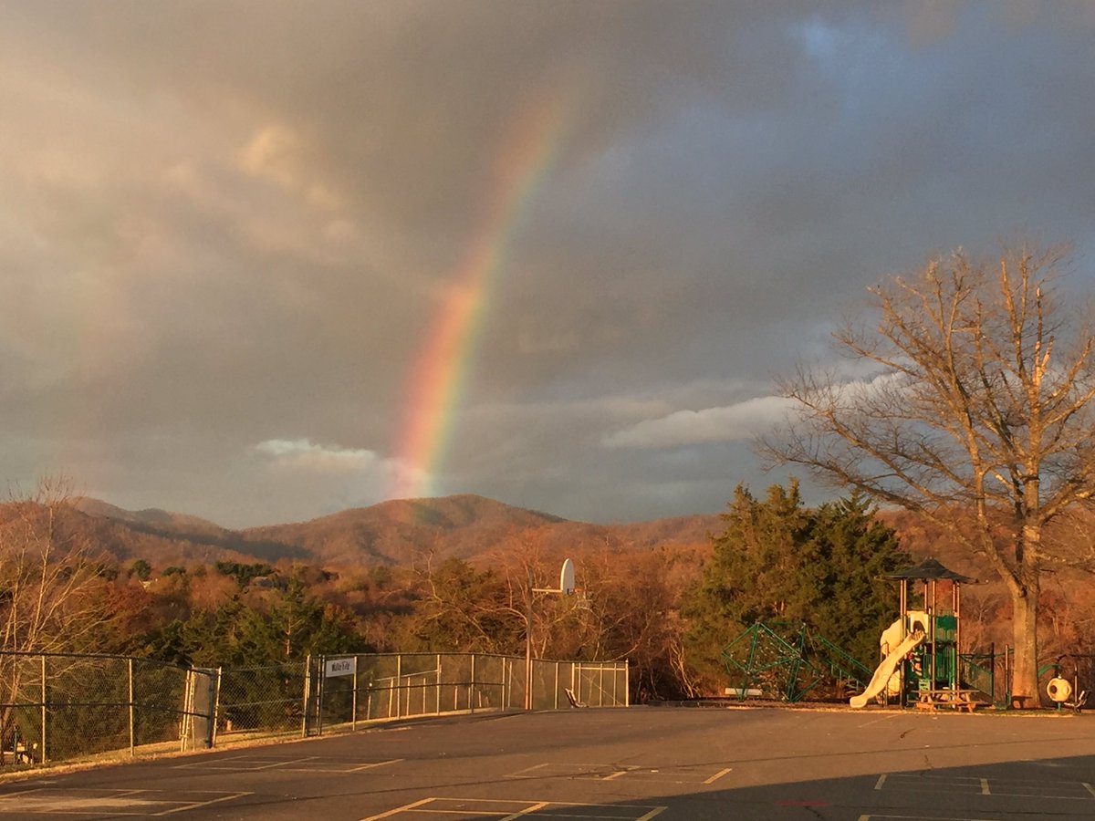 Nancy McCullen tweet media