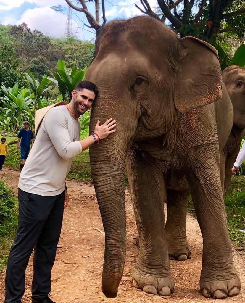 This is JD’s elephant, Dumbo Dong.