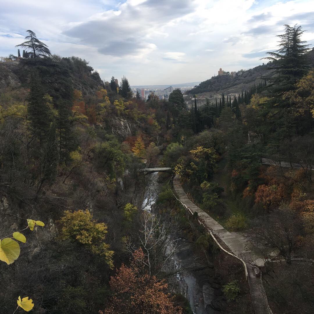 itsmrperf's tweet image. 🏔Views are awesome. Pretty high and sometimes quite scary 😯😊
.
#view #views #georgia #ilovetbilisi #tbilisi #mountains #mountain #nature #naturelovers