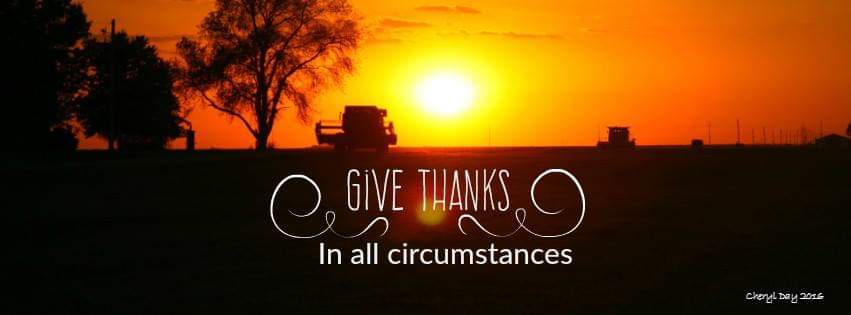 FarmInspiration tweet picture