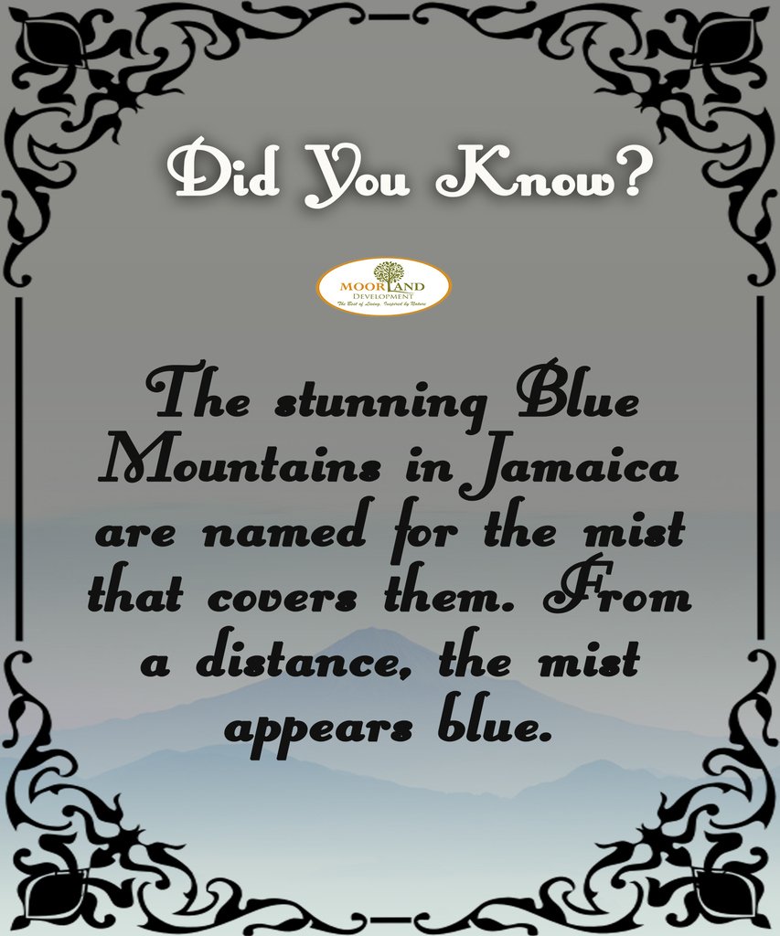 Moorland Development on Twitter "Good morning from the Moorland