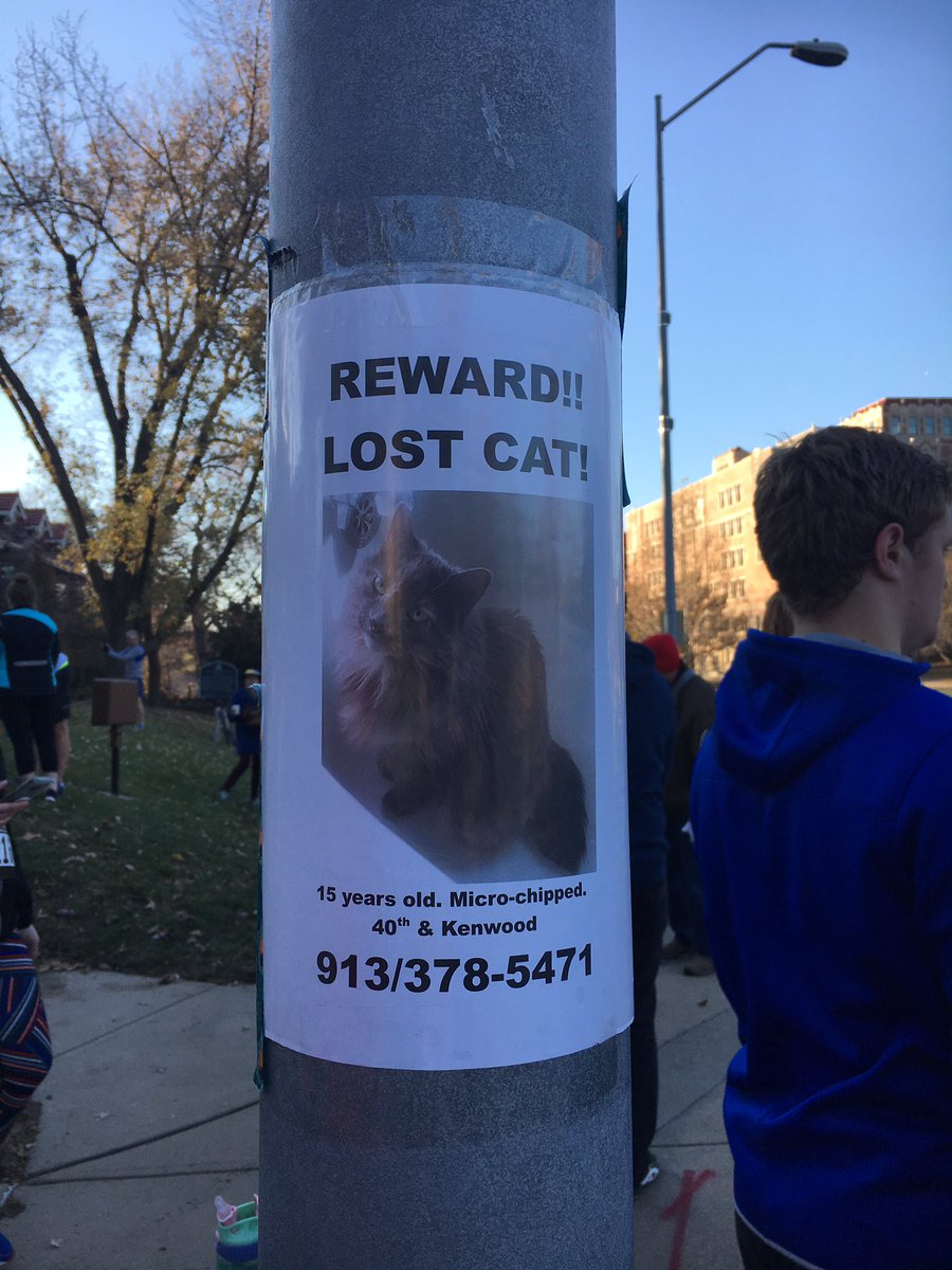 StephSheldon's tweet image. Lost babe in #kansascity Hyde Park. 🥺