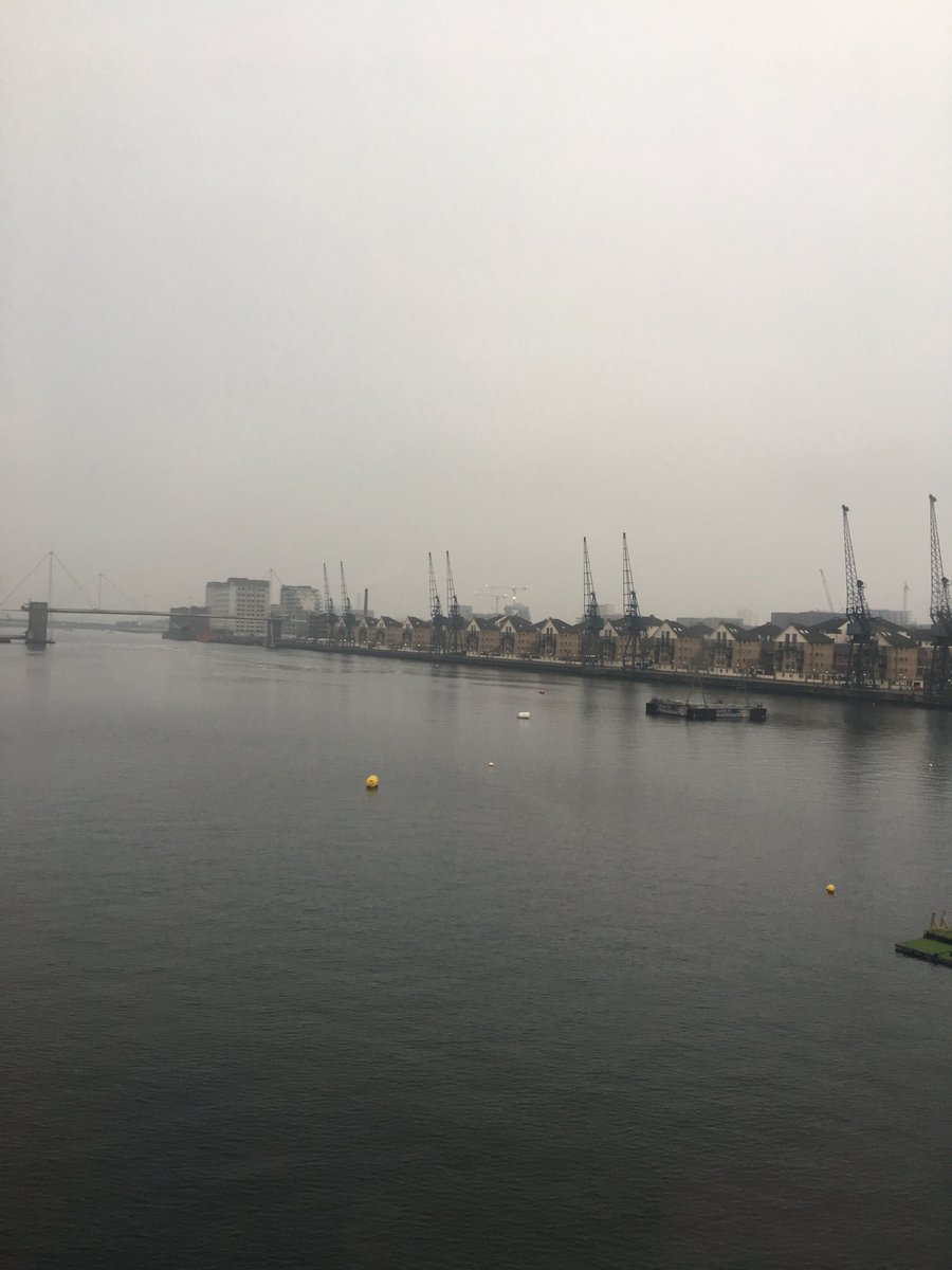 Fiona Esom tweet media