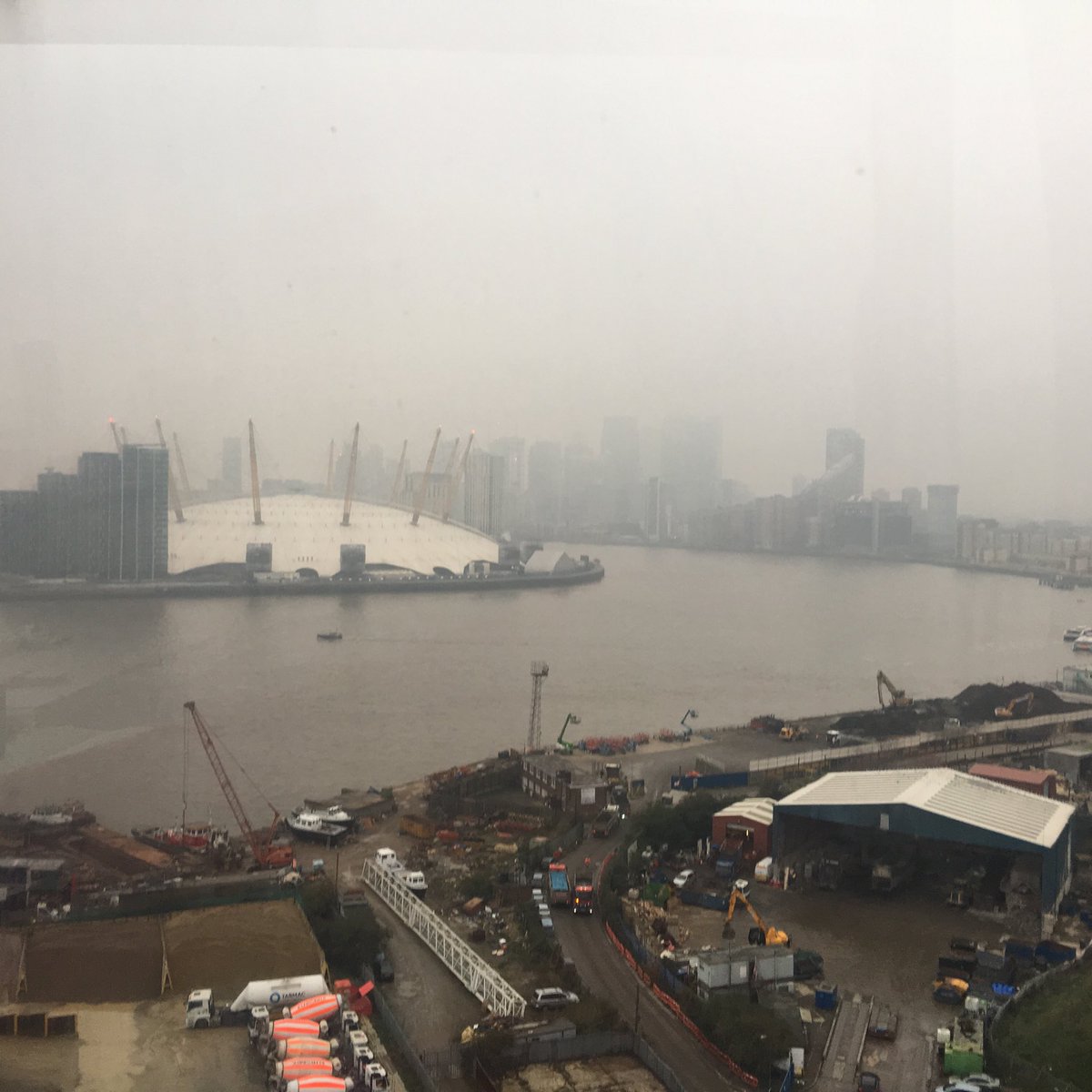 Fiona Esom tweet media