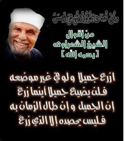 SULTAN ALMUBARK tweet media