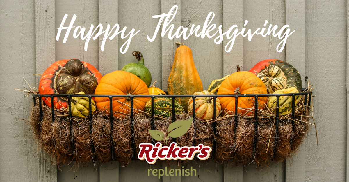 RickerStores's tweet photo. #HappyThanksgiving from Ricker's Replenish! We hope you enjoy today by celebrating your friends, family, and all of the food you can eat! https://t.co/K14MH4FzGD