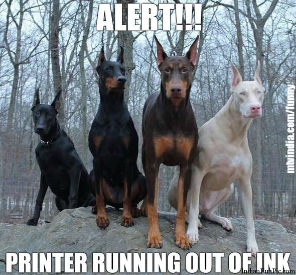 CartDelDirect's tweet image. Low cost, high quality #ink &amp;amp; #toner printer cartridges same day to your workplace or home. 01204 773500. FREE SAME DAY DELIVERY in #Manchester #Bolton #Bury #Salford #Walkden #Wigan #Radcliffe #Oldham #Tyldesley #Worsley #Prestwich #Horwich #Eccles #Irlam #manchesterrt #boltonrt