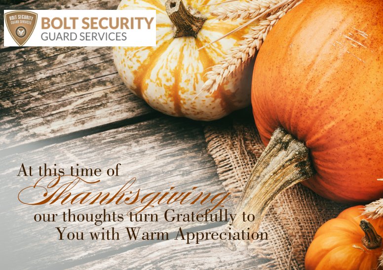 BoltSecGuard's tweet photo. Our warmest thanks to our staff for their dedication and to our customers for your partnership.  We are grateful for you both.  #thanksgiving #happythanksgiving https://t.co/7nzBCacWlw